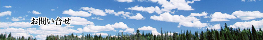 お問い合せ